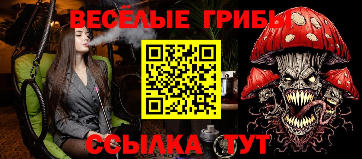 Усолье-Сибирское  Галлюциногенные грибы Psilocybe  Галлюциногенные грибы мицелий  Вход с VPN 